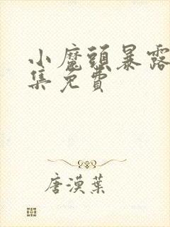 小魔头暴露啦全集免费