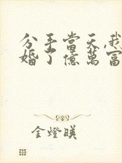 分手当天,我闪婚了亿万富豪小说txt下载