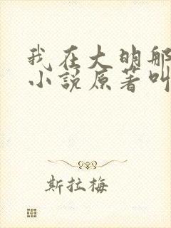我在大明那些年小说原著叫什么