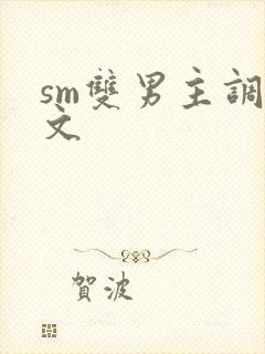 sm双男主调教文