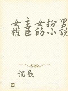 女主女扮男装成权臣的小说