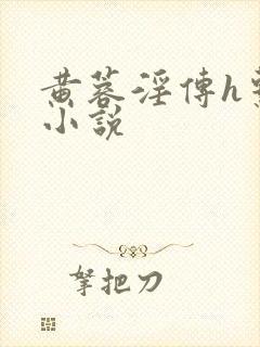 黄蓉淫传h系列小说