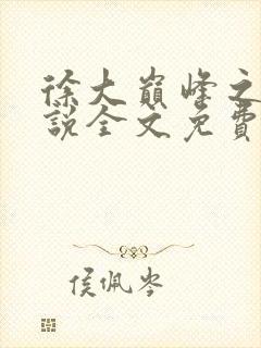 徐大巅峰之路小说全文免费阅读