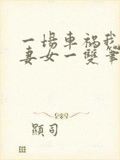 一场车祸我喜提妻女一双笔趣阁