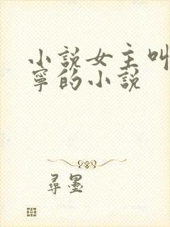 小说女主叫温时宁的小说封面