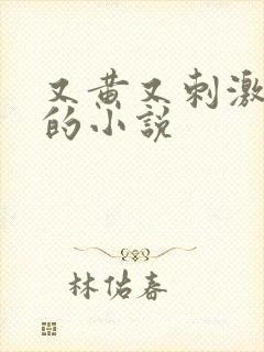又黄又刺激好看的小说