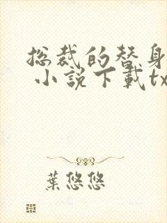 总裁的替身前妻 小说下载txt