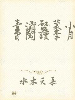 青涩启蒙小说免费阅读李月苏勇封面