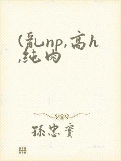 (乱np,高h,纯肉
