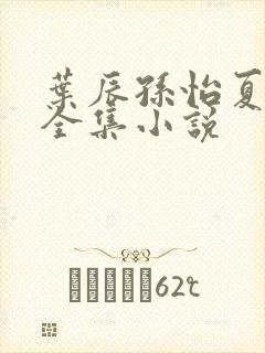 叶辰孙怡夏若雪全集小说