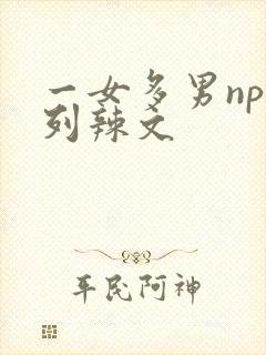 一女多男np系列辣文