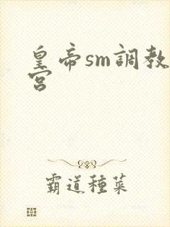 皇帝sm调教后宫封面