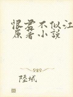 恨君不似江楼月原著小说