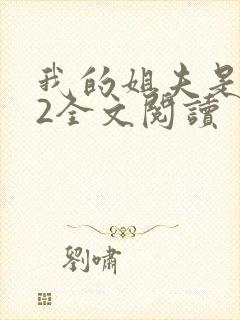 我的姐夫是太子2全文阅读封面