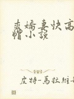 爽娇妻快高h绿帽小说封面