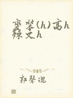 变装(h)高h辣文h
