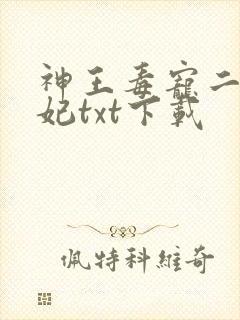 神王毒宠二嫁王妃txt下载