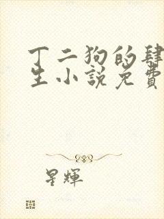 丁二狗的肆意人生小说免费听