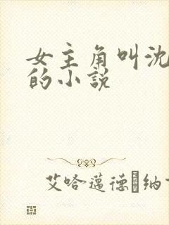 女主角叫沈青岚的小说