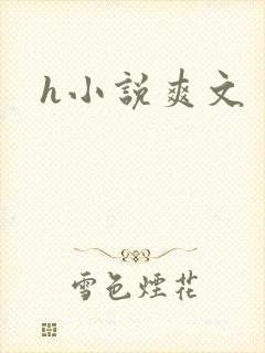 h小说爽文