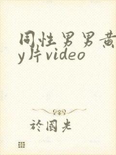 同性男男黄gay片video封面