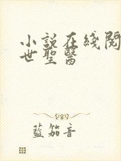 小说在线阅读绝世圣医