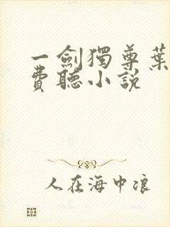 一剑独尊叶玄免费听小说