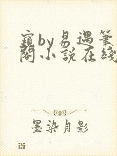 窥by易遇笔趣阁小说在线阅读