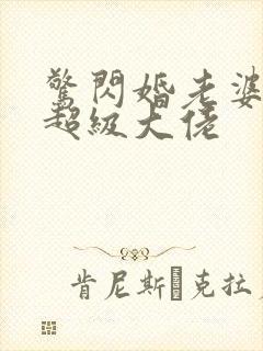 惊闪婚老婆竟是超级大佬