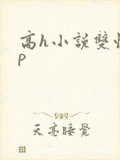 高h小说双性np