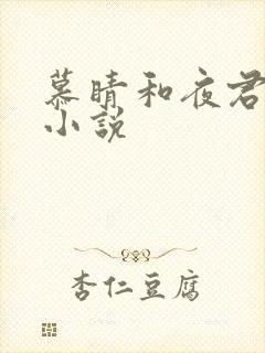慕睛和夜君博的小说封面