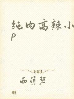 纯肉高辣小说np