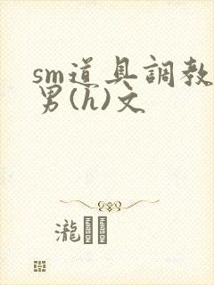 sm道具调教男男(h)文