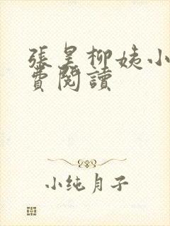 张昊柳姨小说免费阅读封面