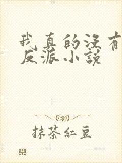我真的没有想当反派小说