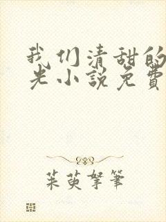 我们清甜的小时光小说免费阅读封面