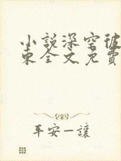 小说深空彼岸辰东全文免费读封面