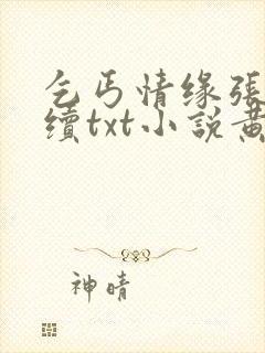 乞丐情缘张小艺续txt小说黄蓉