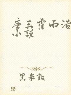 唐三霍雨浩cp小说