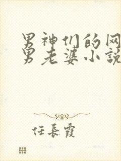 男神们的网凰直男老婆小说免费阅读
