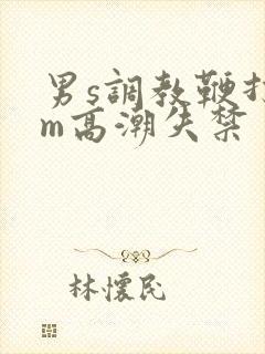 男s调教鞭打男m高潮失禁