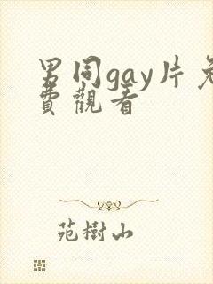 男同gay片免费观看