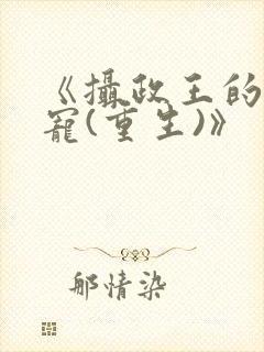《摄政王的心头宠(重生)》封面