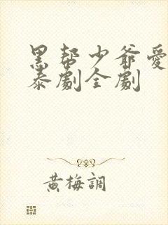 黑帮少爷爱上我泰剧全剧封面