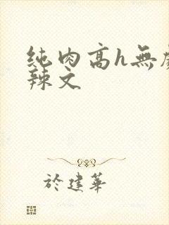 纯肉高h无剧情辣文