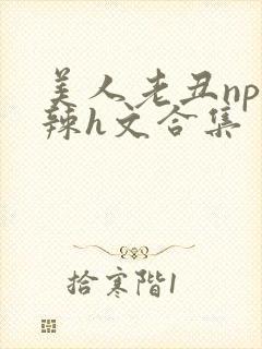 美人老丑np高辣h文合集