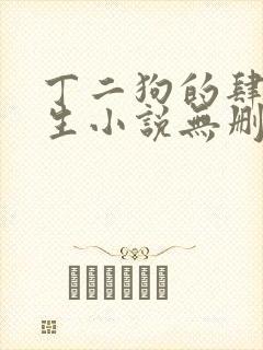 丁二狗的肆意人生小说无删减txt封面