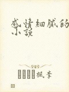 感情细腻的玄幻小说