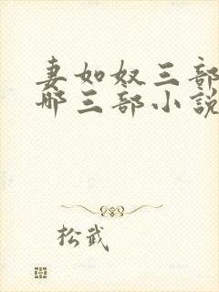妻如奴三部曲是哪三部小说封面