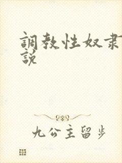 调教性奴隶的小说封面